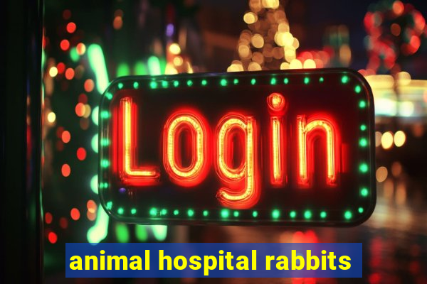 animal hospital rabbits